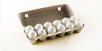 هشدار به کسانی که تخم مرغ هایشان را دریخچال نگهداری می کنند
