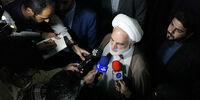 واکنش سخنگوی قوه قضائیه به ادعای «سکه»ای حمید بقایی