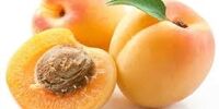 مرگ حتمی انسان با خوردن هسته این میوه