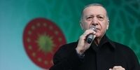 اردوغان: می‌توانیم درباره عضویت فنلاند تصمیمی بگیریم که سوئد را شوکه کند