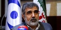 اولین واکنش کمالوندی به  گزارش اخیر مدیرکل آژانس