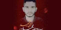 حمید قره حسنلو از زندان آزاد شد؟
