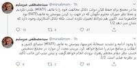 خط و نشان میرسلیم در مورد FATF