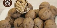 کاهش چشمگیر قیمت گردو همزمان با ریزش دلار !