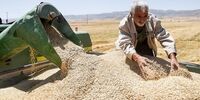 بازگشت اختیارات قانون انتزاع از اوایل۱۴۰۰