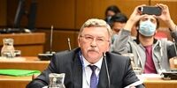 واکنش روسیه به تصویب قطعنامه ضدایرانی شورای حکام 