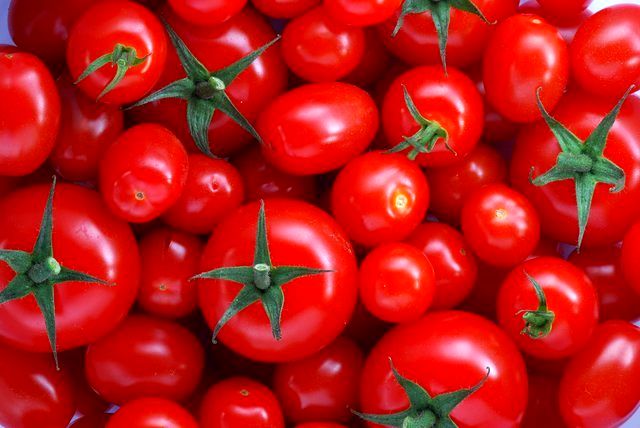 علت گران شدن گوجه فرنگی چیست؟