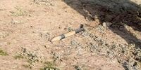 اصابت دو راکت به شهرستان مغان بر اثر درگیری آذربایجان و ارمنستان