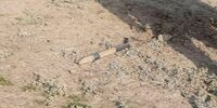 اصابت دو راکت به شهرستان مغان بر اثر درگیری آذربایجان و ارمنستان