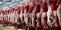  جدول جدیدترین قیمت گوشت گاو و گوسفند/ هر کیلو شقه گوسفندی چند؟