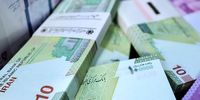 نرخ سود بانکی باید افزایش یابد؟ | رحمانی: متنوع‌سازی نرخ سود با استانداردهای نظام‌های بانکی پیشرفته همخوانی دارد | میانگین تورم در بازه زمانی بلندمدت مبنای تعیین نرخ سود قرار گیرد