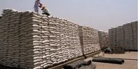 شوک بزرگ به جهان/ هند صادرات گندم را متوقف کرد