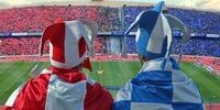 آمار مشارکت هواداران در پذیره نویسی سهام سرخابی‌ها