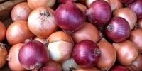 6 خاصیت جالب و معجزه آسای پیاز برای سالمندان