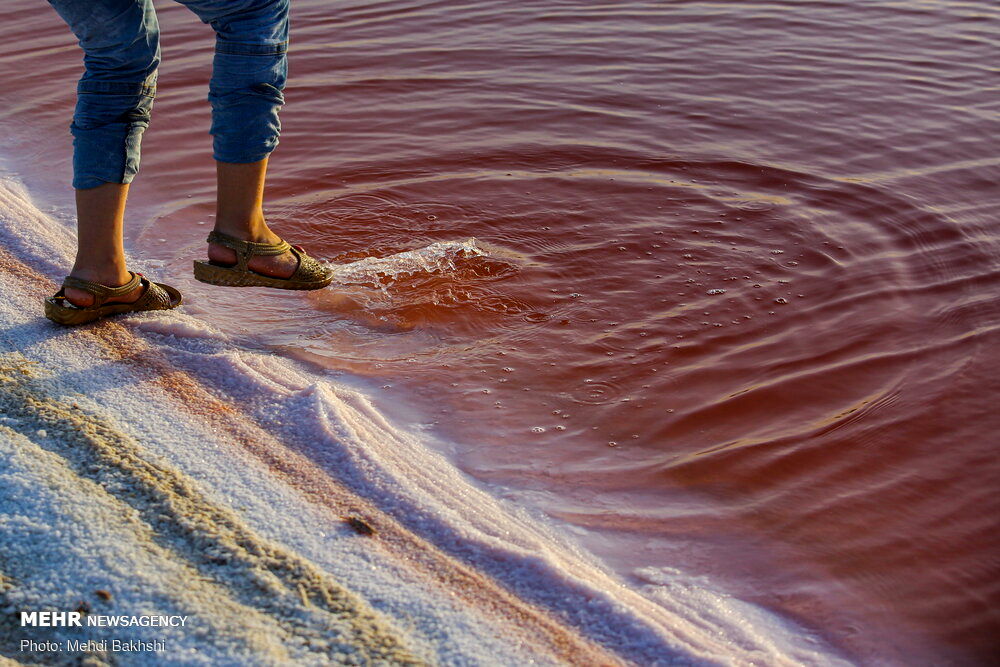 گزارش تصویری از تغییر رنگ بی‌سابقه دریاچه نمک قم