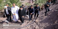 یک روستا در کرمان مجهز به شبکه ملی اطلاعات شد