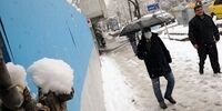 ادارات خراسان جنوبی تعطیل شد