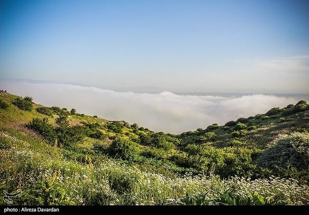 image12