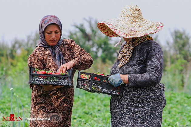 2116186_362