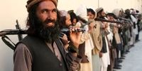 تسلط جالب سخنگوی وزارت خارجه طالبان به زبان انگلیسی در مصاحبه با الجزیره+ فیلم