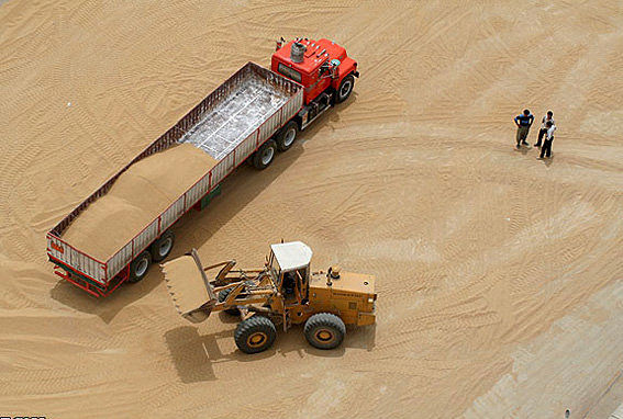 1.2 میلیون تن گندم بدون ثبت از گمرک رد شد!