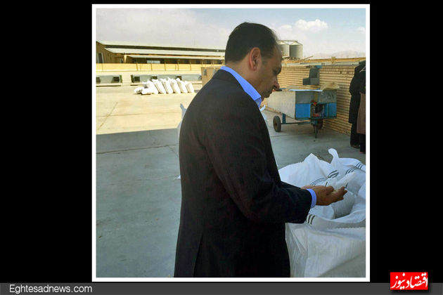 کارخانه فرآوری پسته رئیس اتاق ایران(گزارش تصویری)