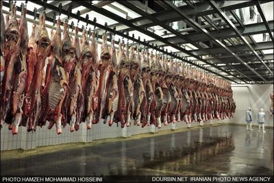 قیمت گوشت به کیلویی یک میلیون تومان می رسد!/منتظر گران‌ترشدن گوشت در ۱۴۰۳ باشیم؟