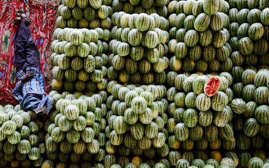 کاهش قیمت هندوانه و 8 محصول دیگر در میادین میوه و تره بار