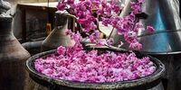 با این سه روش با شوره سر خداحافظی کنید