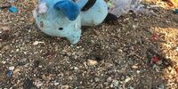 روایتی کوتاه و تلخ از نخستین دقایق سقوط هواپیمای اوکراینی +تصاویر