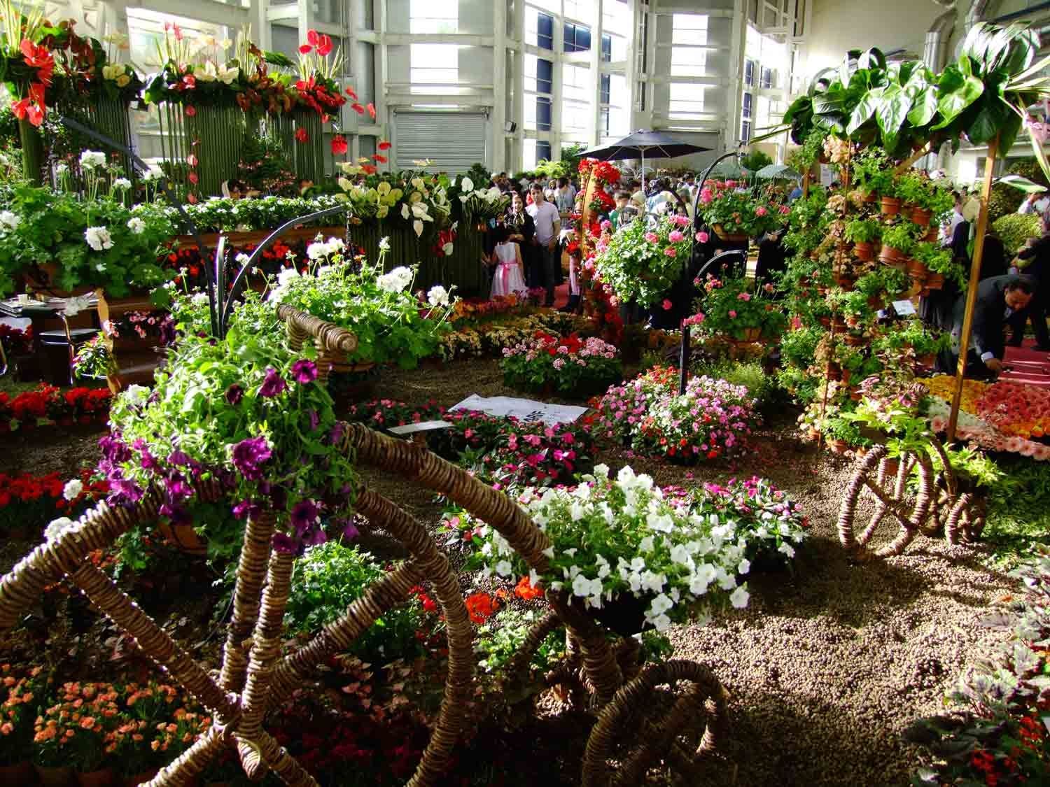 مشکل صنعت گل و گیاه با برگزاری نمایشگاه برطرف نمی شود