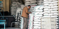 قیمت برنج از دیگر اقلام خوراکی جلو زد+ اینفوگرافیک