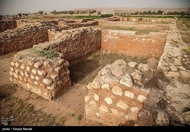 image10