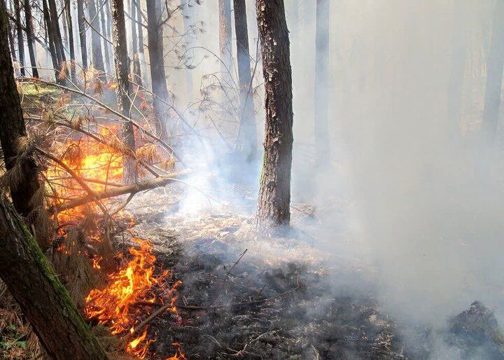 هشدار نسبت به آتش سوزی در عرصه‌های جنگلی این استان 