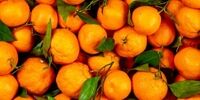 این میوه پاییزی 100 بیماری را دمان می کند ؛ از خاصیت ضد کرونایی تا تاخیر در سفیدی مو