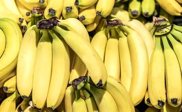 گمرک توقف واردات موز را تکذیب کرد