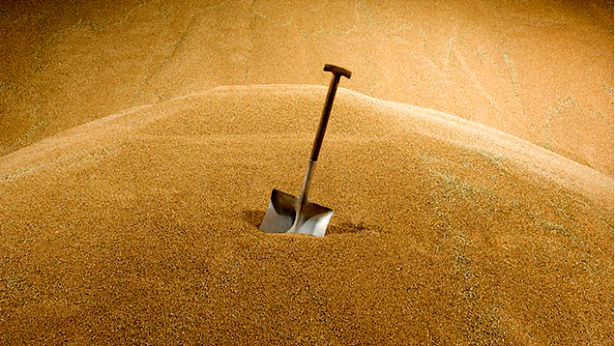 صادرات غلات بریتانیا کاهش یافت