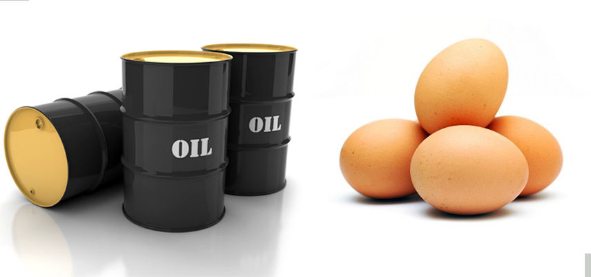 ایرانی‌ها معادل 25 میلیون بشکه نفت تخم‌مرغ می‌خورند