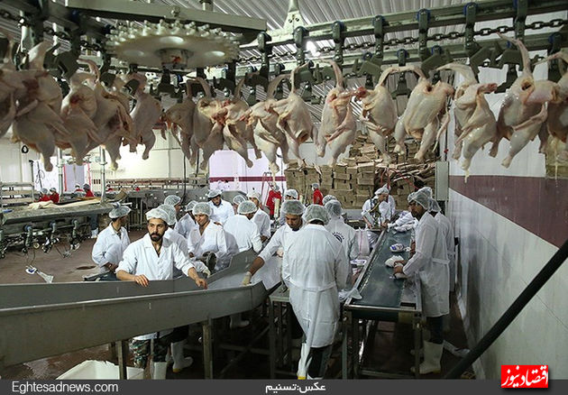 تصاویر منتخب اقتصادی امروز / چهارشنبه 26 فروردین