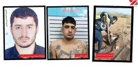 برملا شدن راز لانه وحشت مشهد/ تصویر واضح «رتیل های خون ریز» منتشر شد