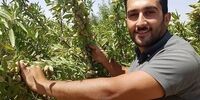 خرید و کاشت نهال کم توقع و پرسود