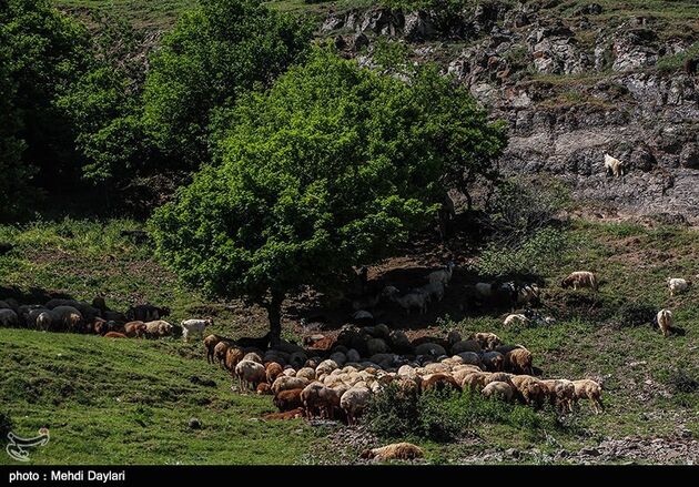 image10