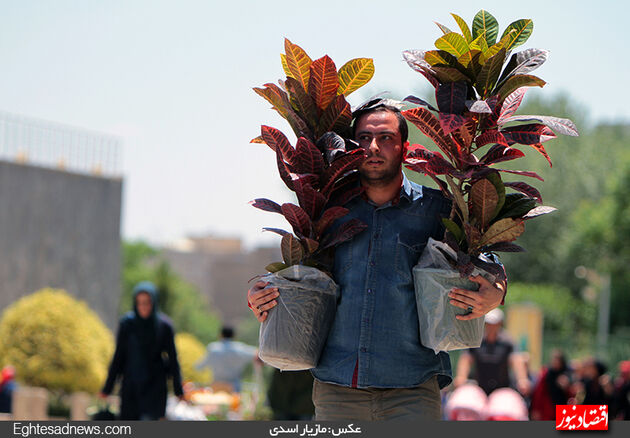 گزارش تصویری آخرین روز نمایشگاه گل‌وگیاه تهران
