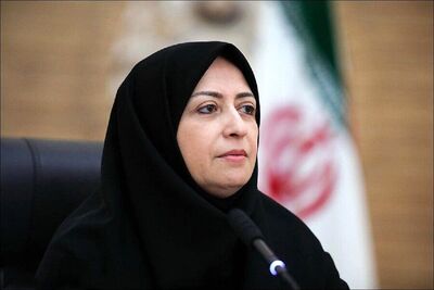 شینا انصاری: وزارت خارجه پیگیر مدیریت آب‌های زیرزمینی است + فیلم