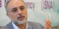 صالحی:دستاوردهای ایران دنیا را زیر و رو خواهد کرد

