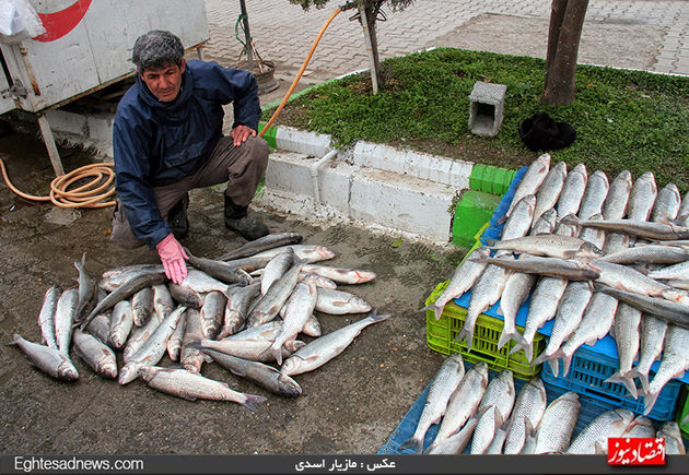 لحظه به لحظه نبرد با دریا برای یک لقمه نان + گزارش تصویری