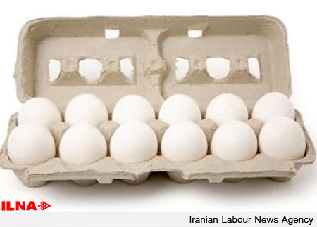 زیان 1500 تومانی تولیدکنندگان تخم مرغ