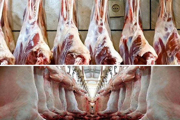 چرا قیمت گوشت نجومی شد؟ / برسی پرونده گرانی گوشت طی ۱۰ سال گذشته