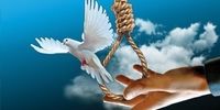 بخشیده شدن محکوم به قصاص در ابهر در پای چوبه دار 