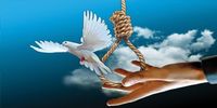 بخشیده شدن محکوم به قصاص در ابهر در پای چوبه دار 